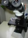 Microscop Olympus